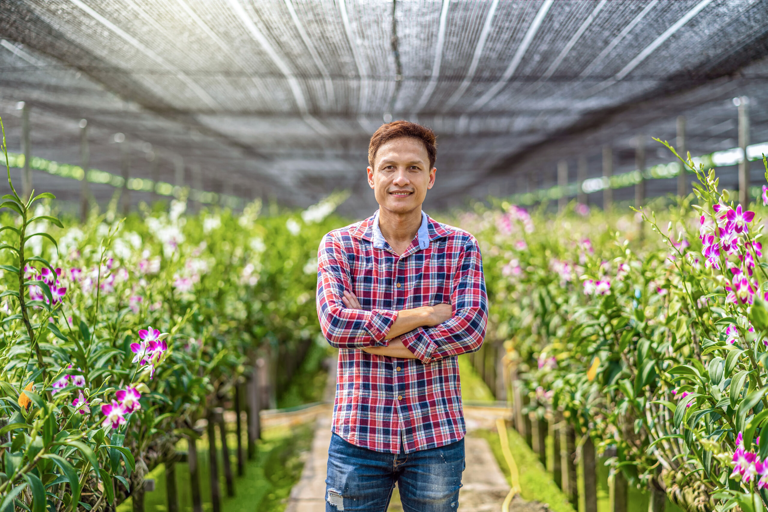 Asian small business owner and orchid garden, starting a farm guide